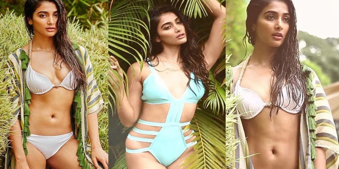 Pooja Hegde Turns Up The Heat In A Bikini See Pics OrissaPOST