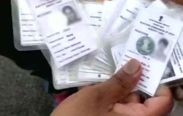 fake voter id card generator