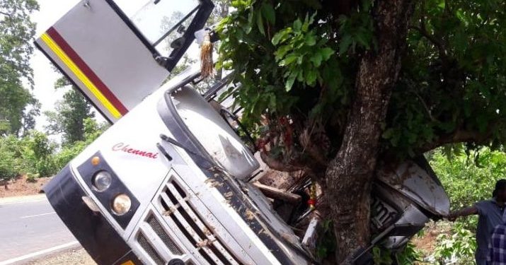 Bus goes into a tree