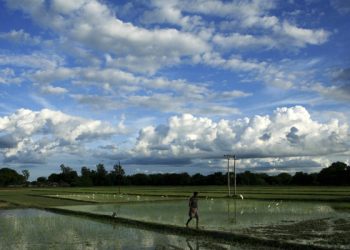 A good monsoon certainly reduces the misery that a farm family has to undergo at times of drought, but the buoyancy that a normal monsoon brings to the industry, for example, has never been witnessed in agriculture