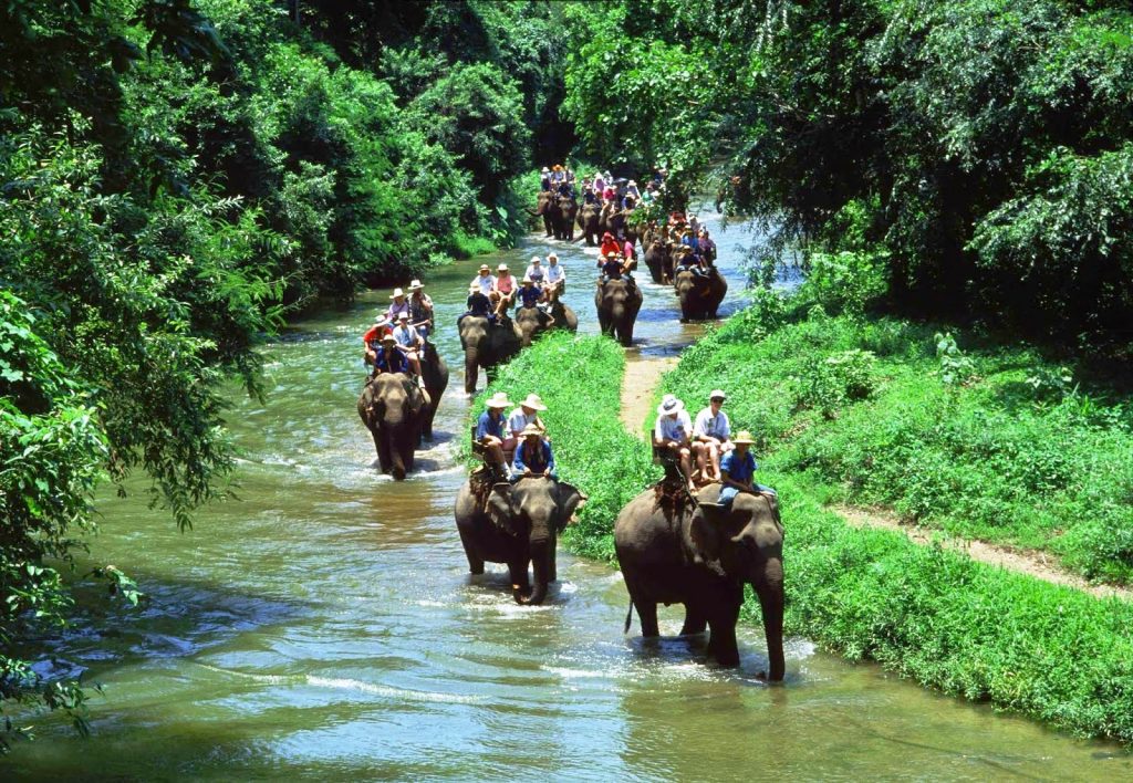 Mayurbhanj Similipal