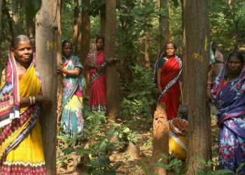 Cong, BJP seek probe into
tree-felling for brewery unit