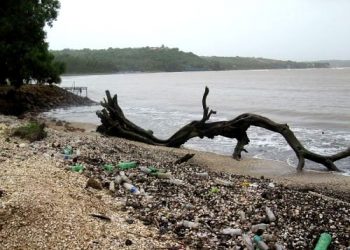 Plastic debris washed up on Coco Beach in Goa, India, where the Mandovi River empties into the Indian Ocean.