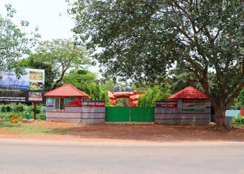 Jungle Safari in Chandaka