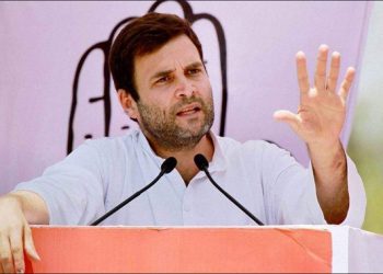 Rahul Gandhi (PTI image)