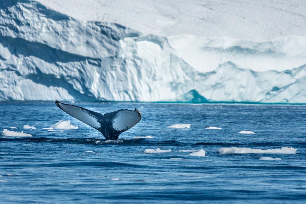 Greenland ice melt reaching 'tipping point': Study