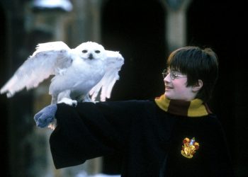 Actor Daniel Radcliffe in his role as Harry Potter holds Hedwig the owl on his arm during the shooting of the film "Harry Potter and the Sorcerer's Stone" in this undated handout photo. The film is currently in production and will be released worldwide in November 2001.  (REUTERS)