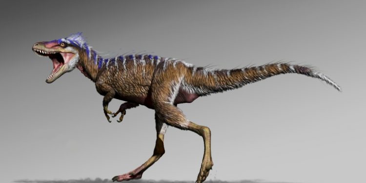 The new dinosaur Moros intrepidus, whose name means "harbinger of doom", is the earliest member of the Tyrannosaur family yet identified on the North American continent. (AFP)