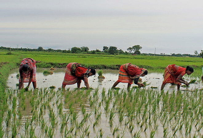 Odisha to implement PM-KISAN scheme soon - OrissaPOST