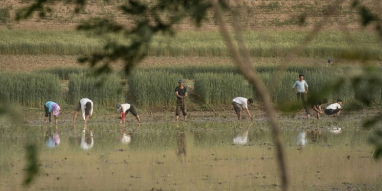 North Korea is under several sets of sanctions over its weapons programmes and has long struggled to feed itself (AFP)