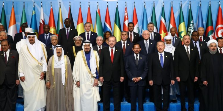 OIC summit 2014 in Istanbul [Representative image]