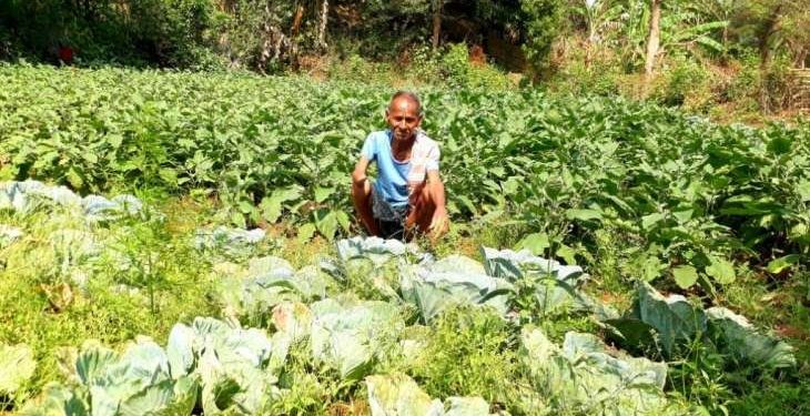 Disabled man turns barren land into orchard