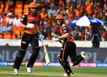 Jonny Bairstow (445) and David Warner (611) were absolutely sensational for the Sunrisers Hyderabad as they scored the bulk of the runs for the team and single-handedly won matches.