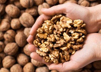 Eat walnuts to cut risk of heart disease