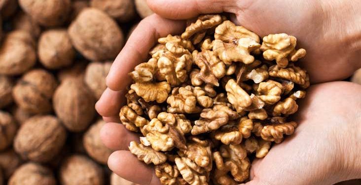 Eat walnuts to cut risk of heart disease