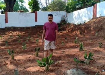 Cactus farming pilot project launched