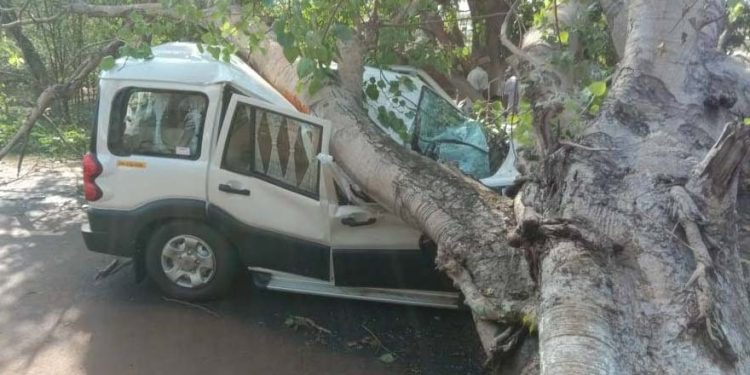 Maheswar Bindhani was killed when a tree fell on this Scorpio vehicle he was driving