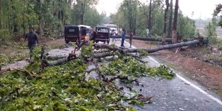 Nor’wester wreaks havoc in Nabarangpur