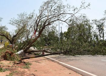 People preparing thair house & other activities After effect of cyclone FANI (36)