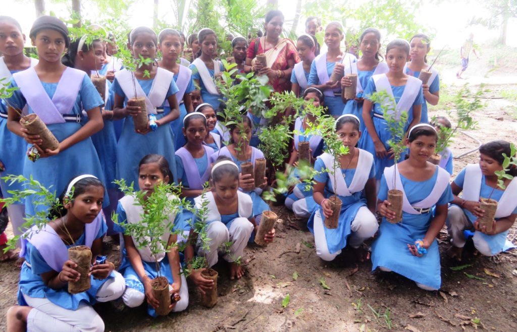 Mega plantation drive involving schoolchildren to be launched