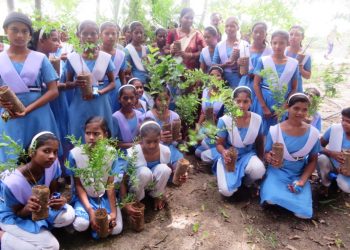 Mega plantation drive involving schoolchildren to be launched