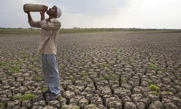 The dry index has worsened over the last year as 36.74 per cent of the area in India was abnormally dry May 28, 2018.