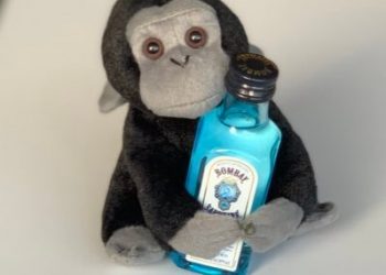 Since Tuesday, the profile picture of the Tesla and SpaceX CEO has been showing a baby monkey holding a beautiful emerald blue coloured bottle of a famous brand of gin called Bombay Sapphire.