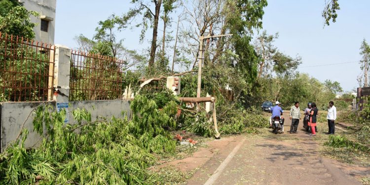 People preparing thair house & other activities After effect of cyclone FANI (63)