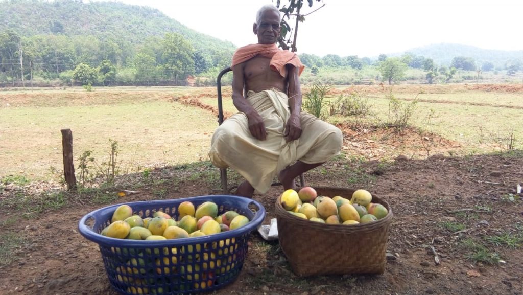 Water shortage hits farming in Kandhamal