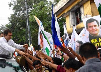 On his first visit to his constituency after being elected to Lok Sabha, Gandhi addressed party workers at Kalpetta, Kambalakadu and Panamaram during a roadshow Saturday.