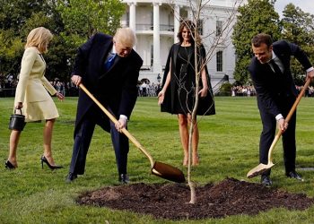 It was a symbolic gesture: the tree came from a northern French forest where 2,000 US Marines died during the First World War.