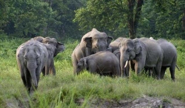 Two killed in jumbo attacks