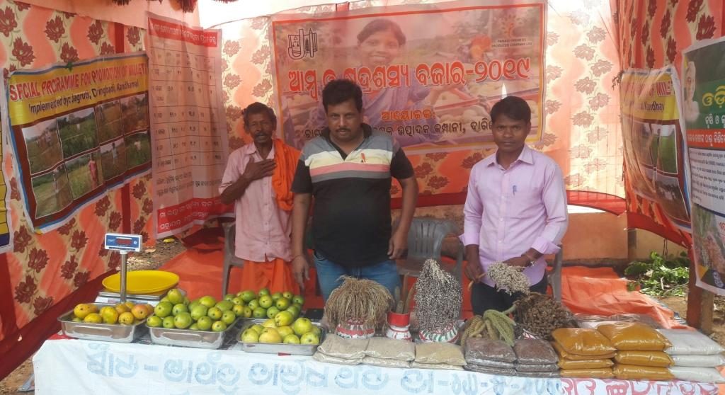 ‘Mango & Minor Crop Market’ opens in Daringibadi