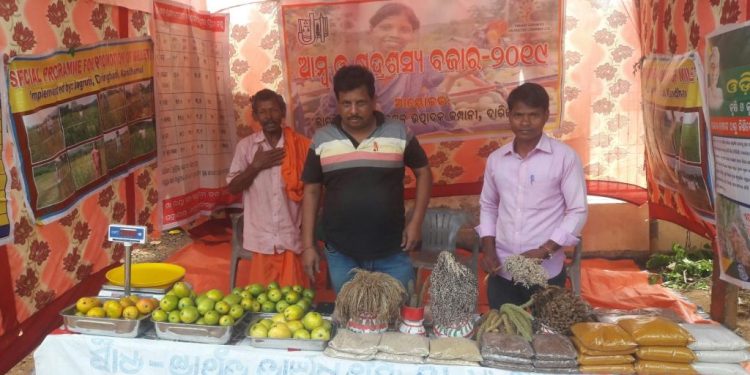 ‘Mango & Minor Crop Market’ opens in Daringibadi