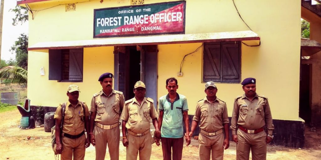 Poacher arrested, 10 kg venison seized