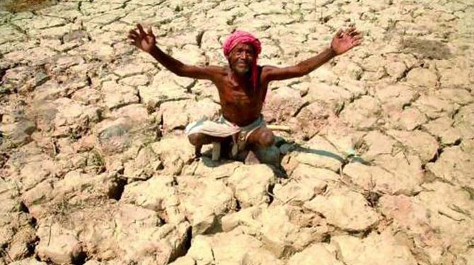 As rains play hide & seek, Ganjam farmers frown