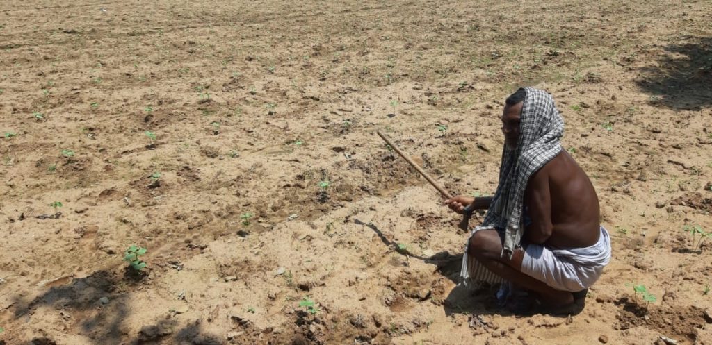 Drought spectre stalks Rayagada district