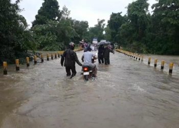 Malkangiri grapples with incessant rains