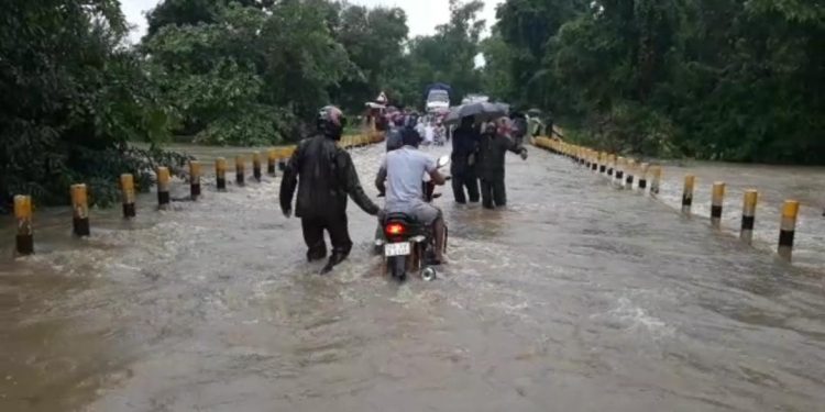 Malkangiri grapples with incessant rains