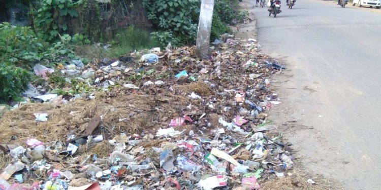 Sanitation services hit badly in SMC area