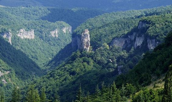 Man lives at a height of 130 feet; The reason will shock you