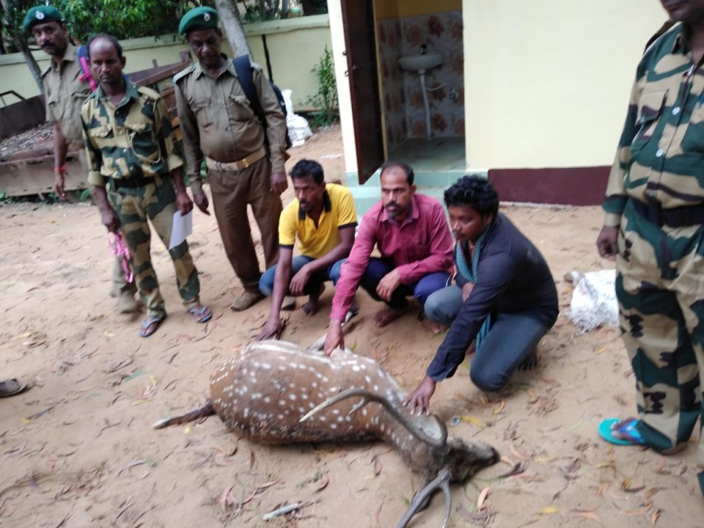 3 poachers held, dead spotted deer seized