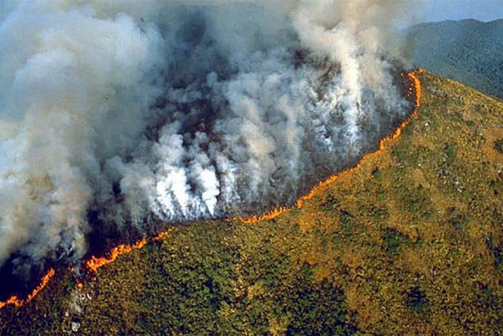 Amazon rainforest fires may be record setting: NASA