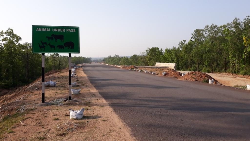 ‘More’ underpasses on NH-20 might have saved 3 elephants