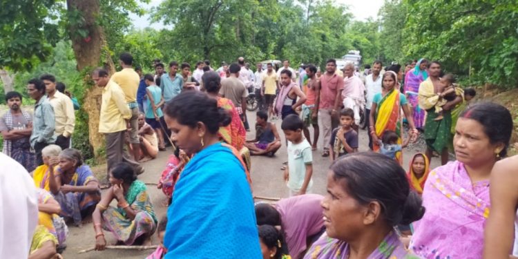 Jumbo menace: Elderly woman killed in Angul