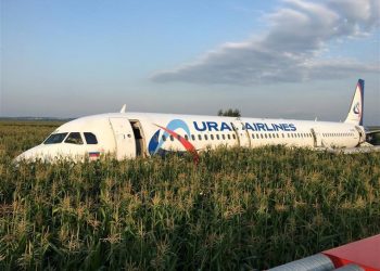 The Ural Airlines A321 carrying 226 passengers and a crew of seven hit the birds as it took off Thursday from Moscow's Zhukovsky airport en route for Simferopol, in Crimea.