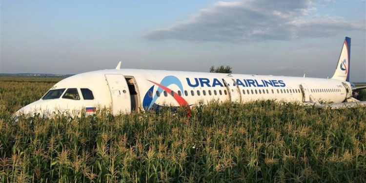 The Ural Airlines A321 carrying 226 passengers and a crew of seven hit the birds as it took off Thursday from Moscow's Zhukovsky airport en route for Simferopol, in Crimea.