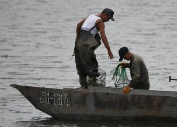 The mass arrests came after Russia detained more than 160 North Korean fishermen in the Sea of Japan last week.