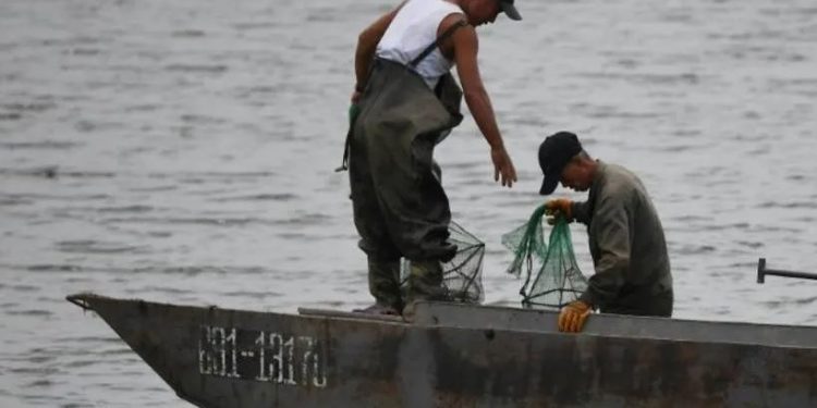 The mass arrests came after Russia detained more than 160 North Korean fishermen in the Sea of Japan last week.