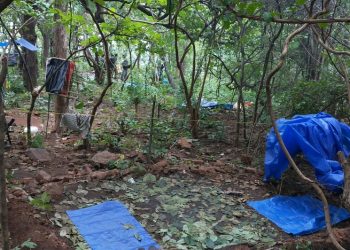 Maoist camp busted in Bolangir